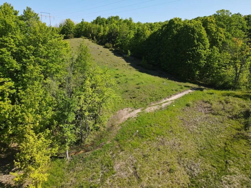 Pesek Road South Arm Township, MI 49727