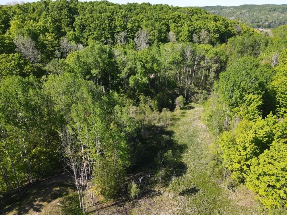 Pesek Road South Arm Township, MI 49727