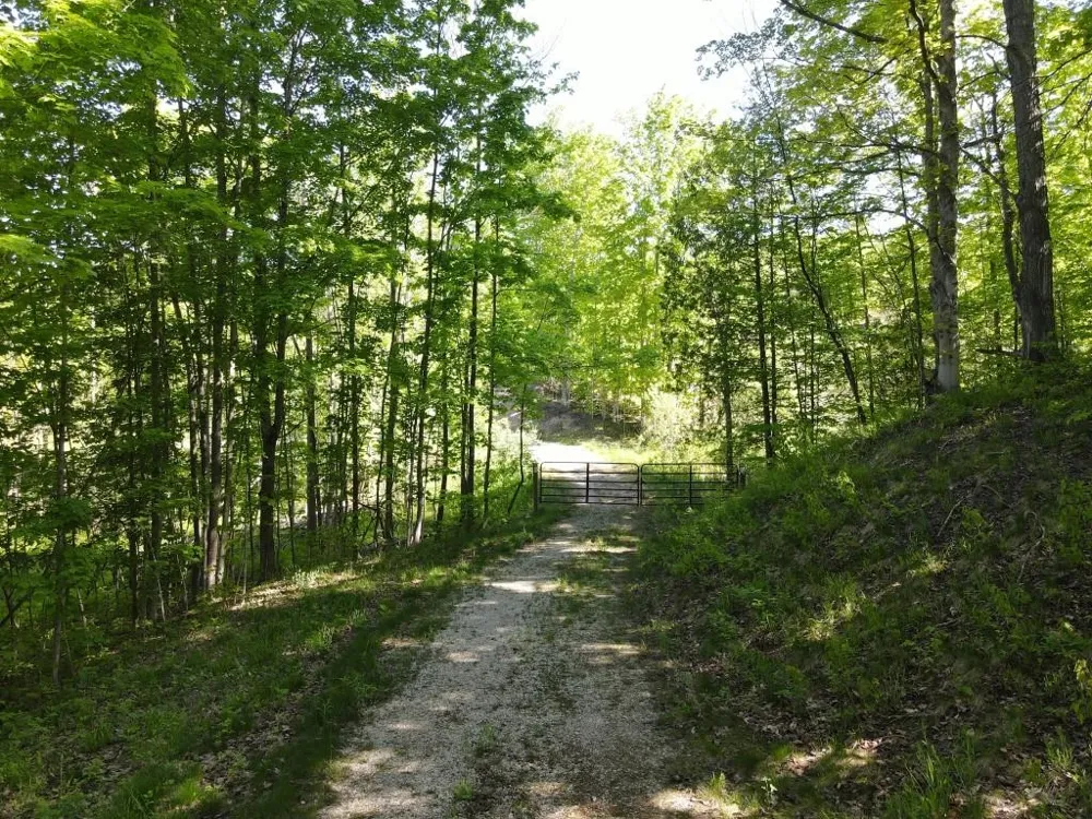 Pesek Road South Arm Township, MI 49727