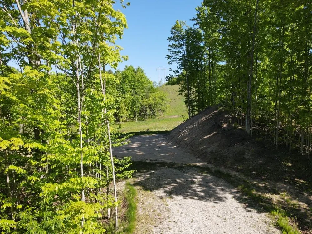 Pesek Road South Arm Township, MI 49727