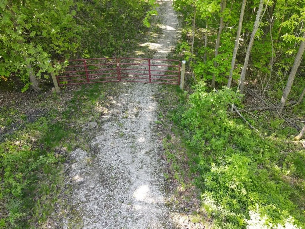 Pesek Road South Arm Township, MI 49727