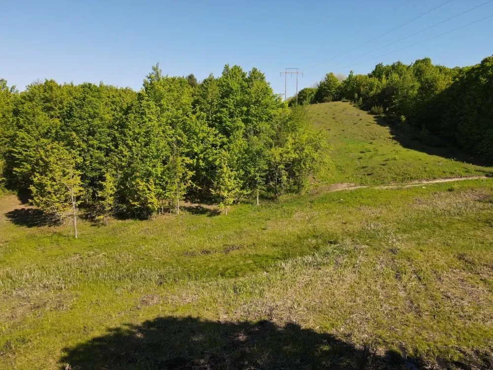 Pesek Road South Arm Township, MI 49727