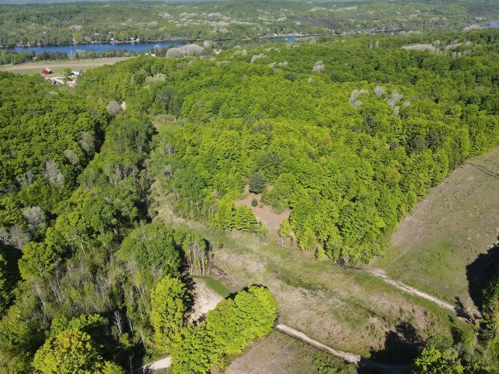 Pesek Road South Arm Township, MI 49727
