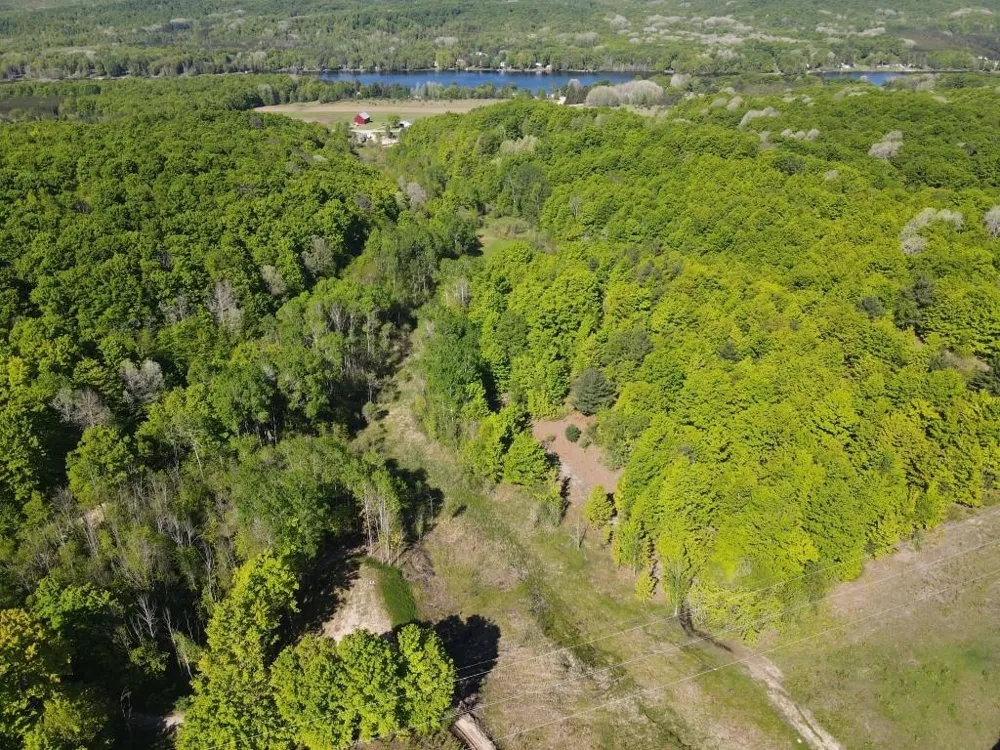 Pesek Road South Arm Township, MI 49727