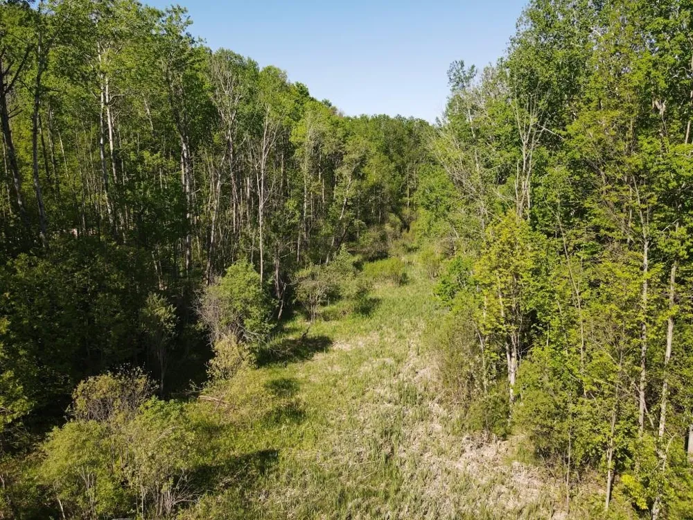 Pesek Road South Arm Township, MI 49727