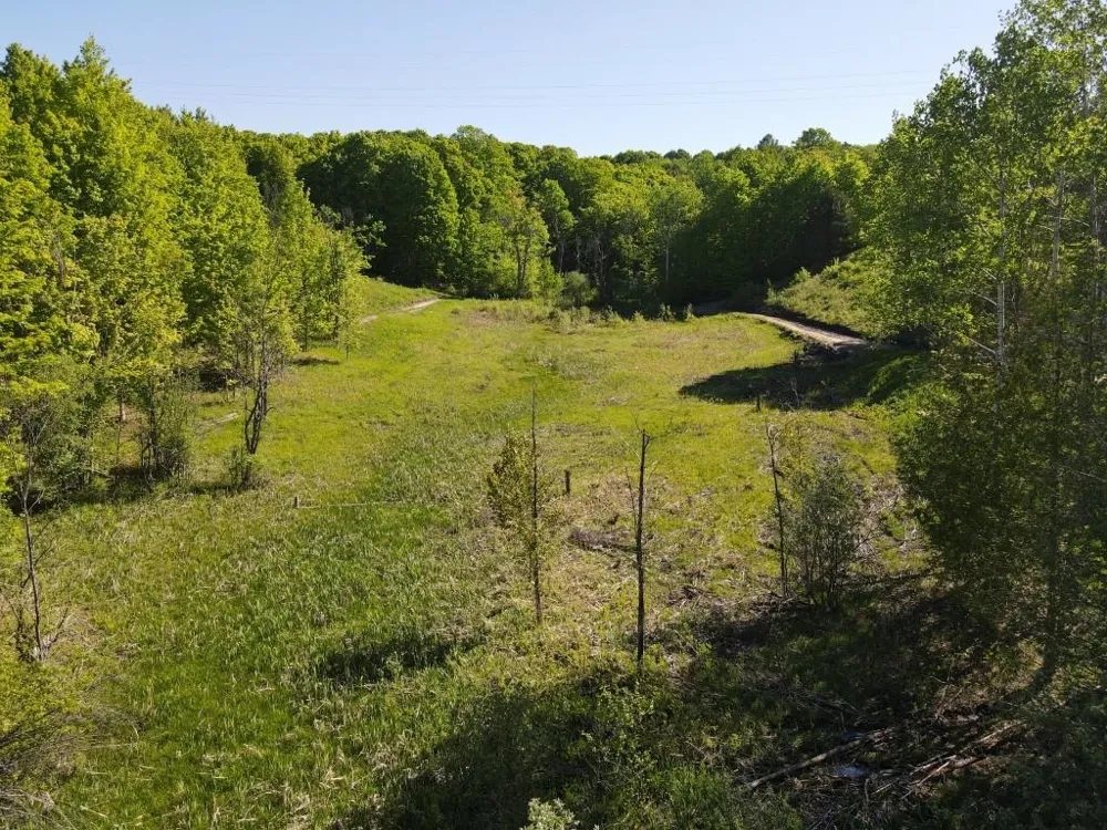 Pesek Road South Arm Township, MI 49727
