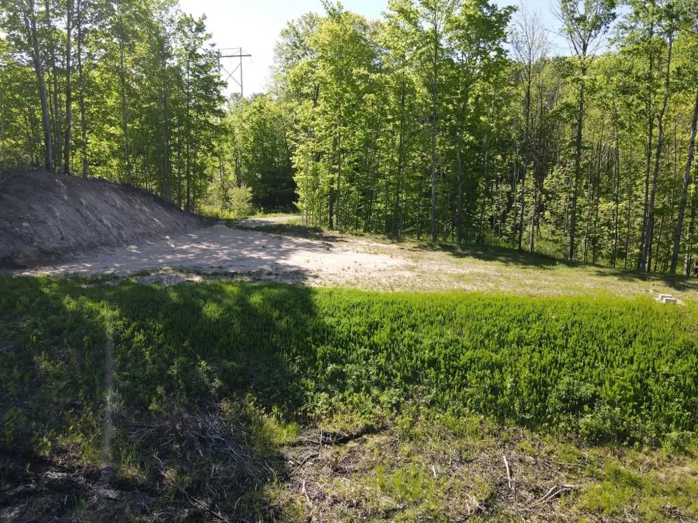 Pesek Road South Arm Township, MI 49727