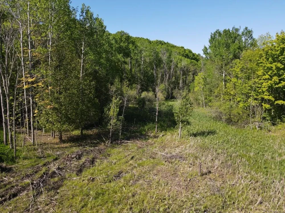 Pesek Road South Arm Township, MI 49727