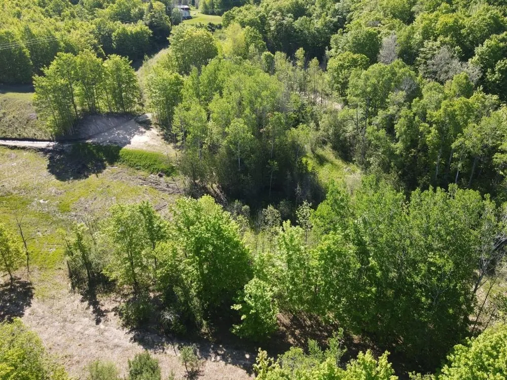 Pesek Road South Arm Township, MI 49727