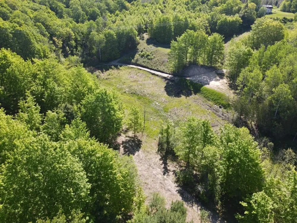 Pesek Road South Arm Township, MI 49727