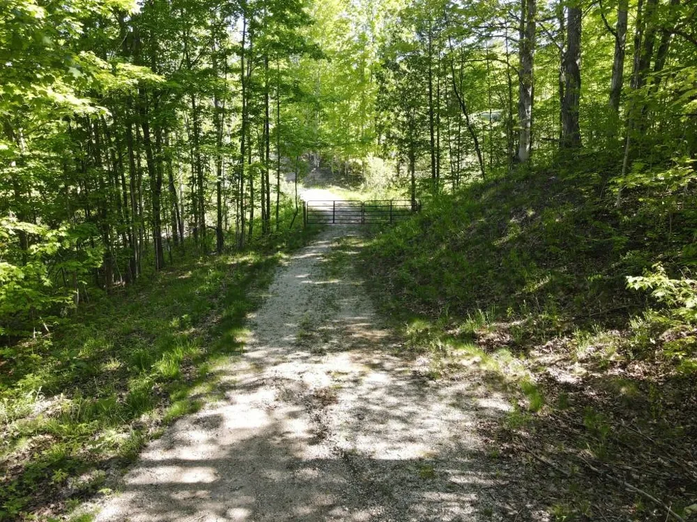 Pesek Road South Arm Township, MI 49727