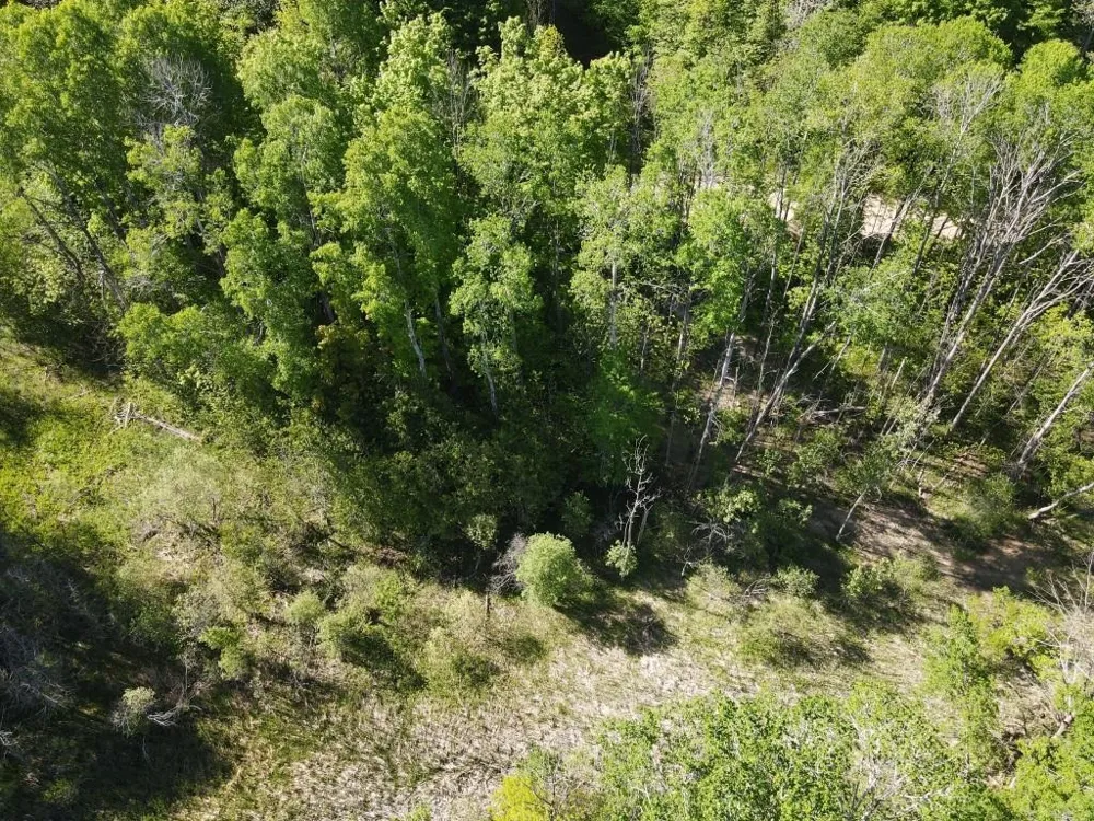 Pesek Road South Arm Township, MI 49727