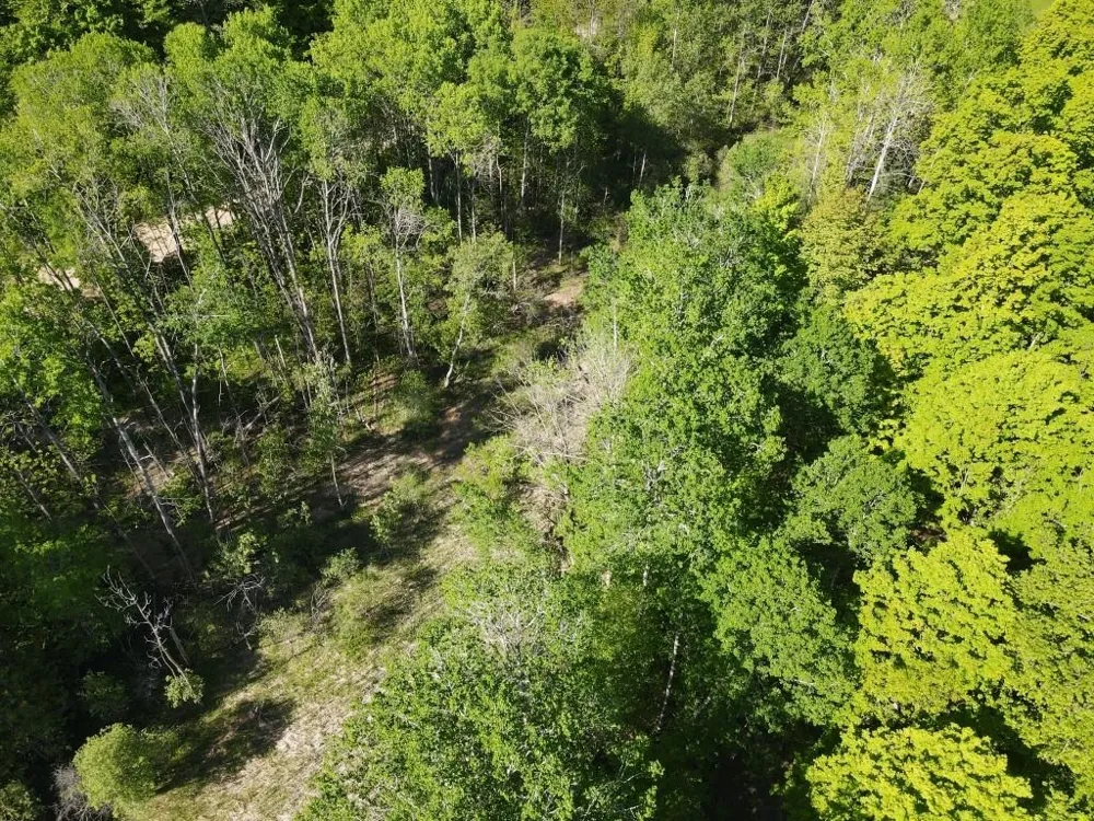 Pesek Road South Arm Township, MI 49727