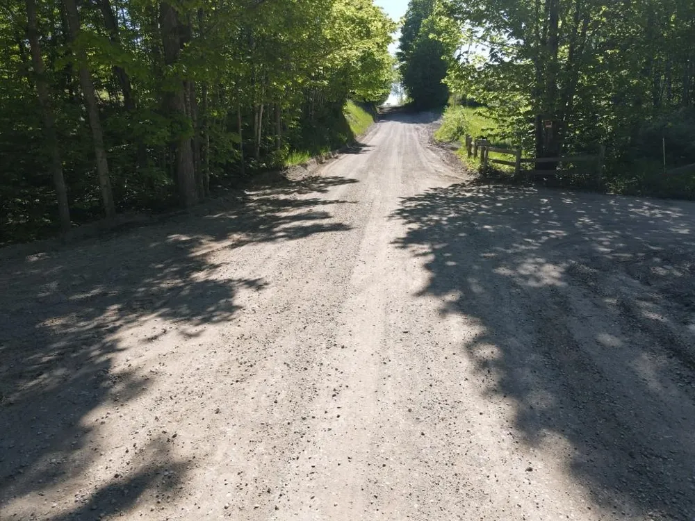 Pesek Road South Arm Township, MI 49727
