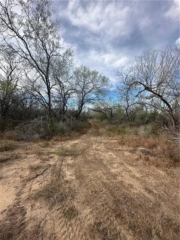 Highway 72 Three Rivers, TX 78071