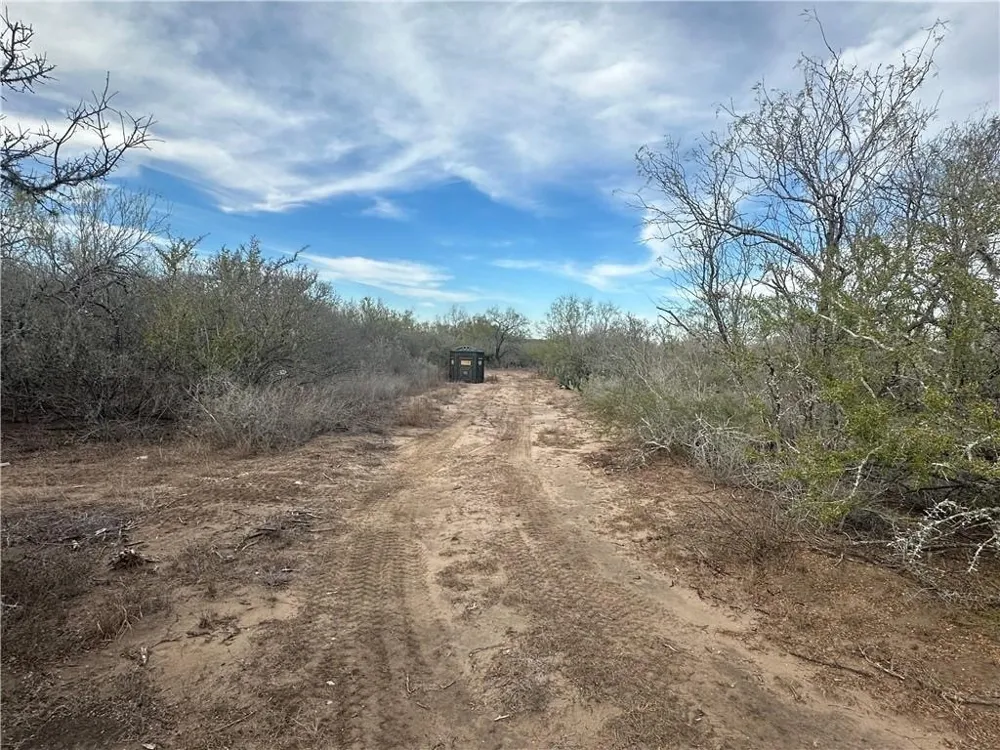 Highway 72 Three Rivers, TX 78071