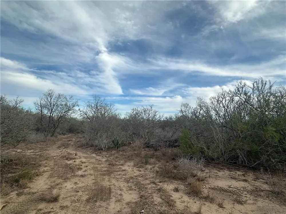 Highway 72 Three Rivers, TX 78071