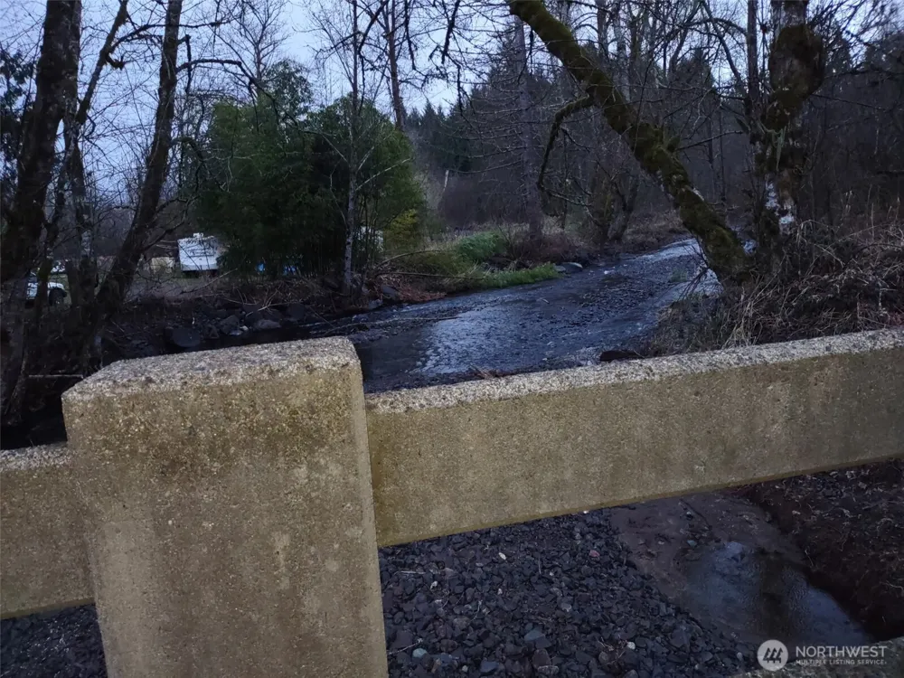 140 Kiona Road Randle, WA 98377
