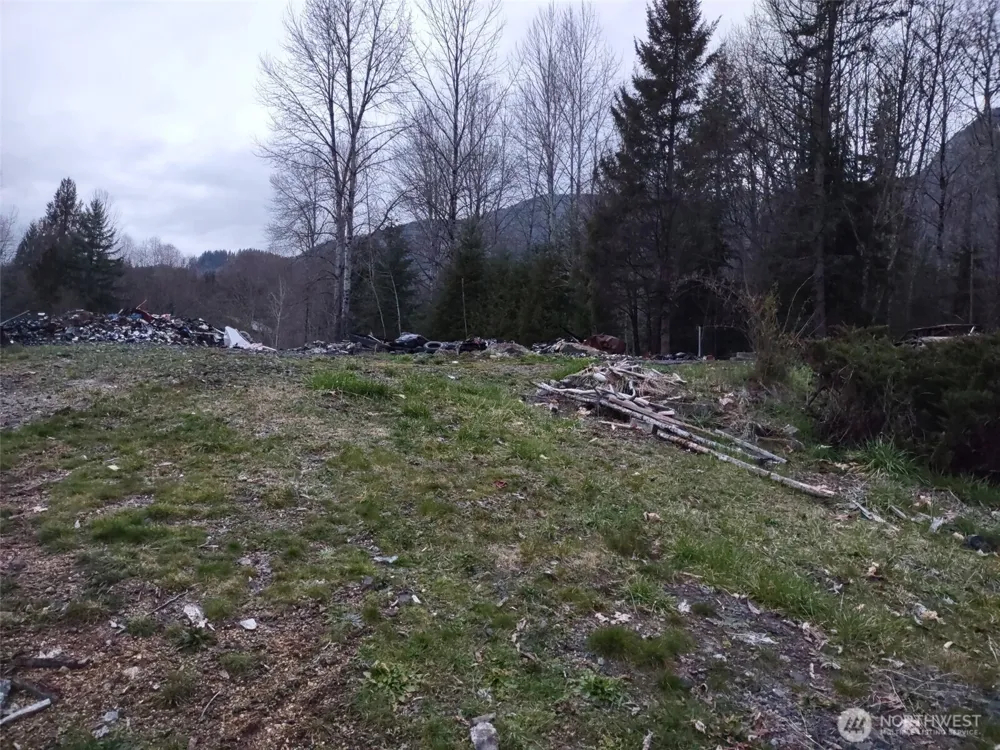 140 Kiona Road Randle, WA 98377