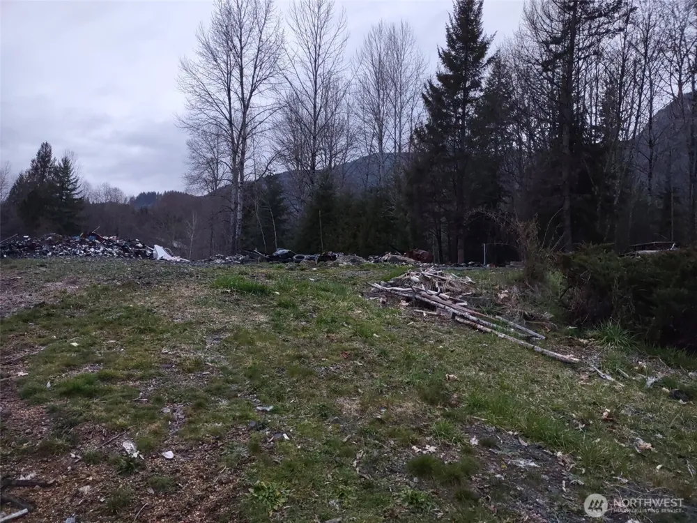140 Kiona Road Randle, WA 98377