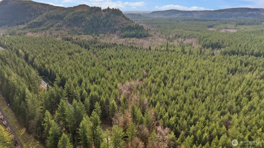 0 Cumberland Kanaskat Road SE Ravensdale, WA 98051
