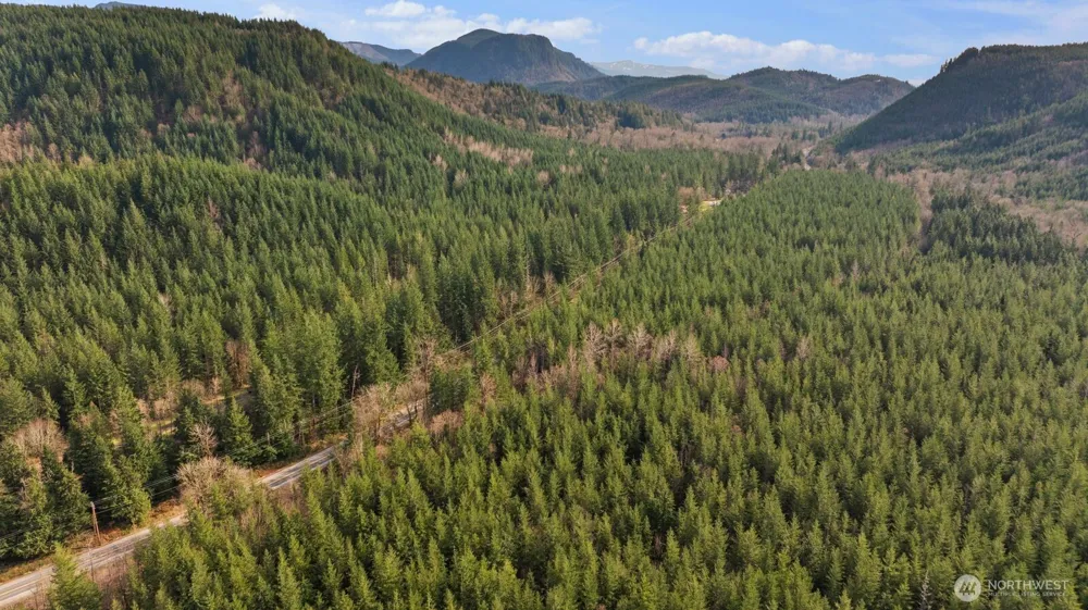 0 Cumberland Kanaskat Road SE Ravensdale, WA 98051