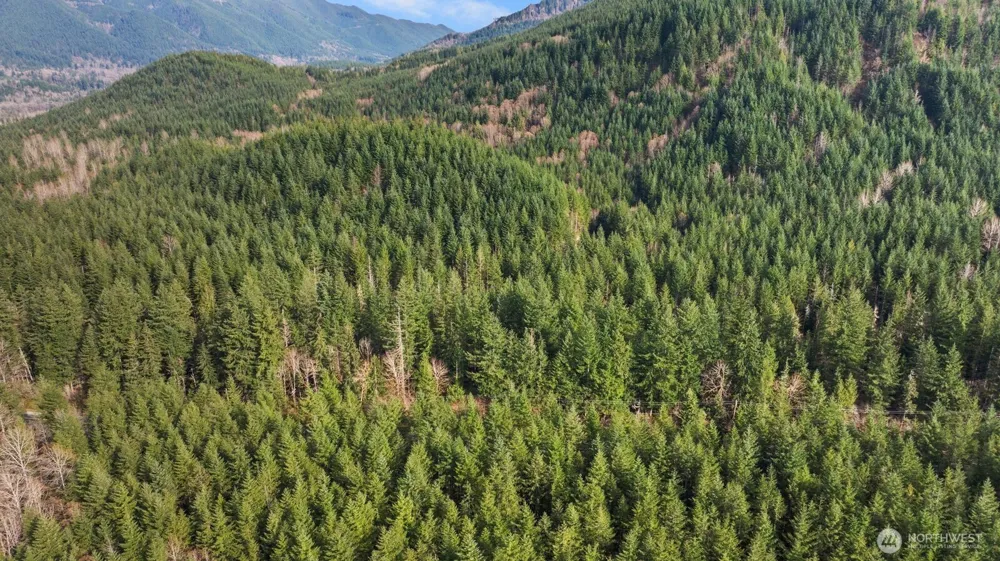 0 Cumberland Kanaskat Road SE Ravensdale, WA 98051