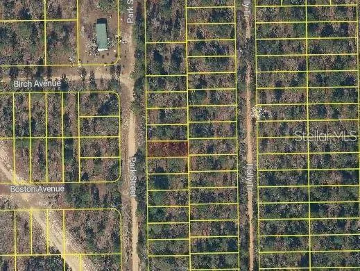 PARK STREET Interlachen, FL 32148