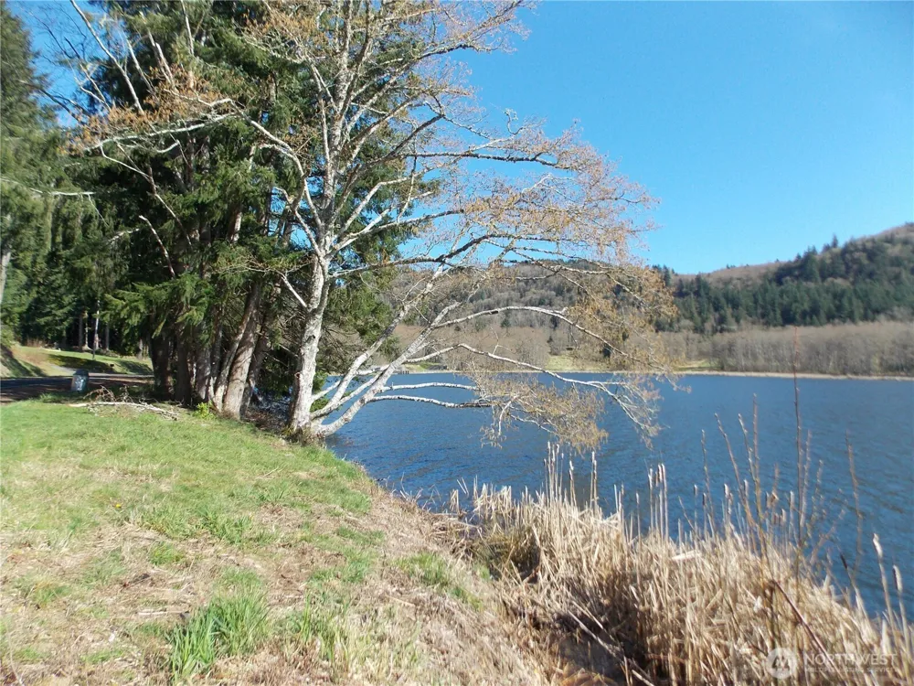 150 Elk Ridge Road Mossyrock, WA 98564