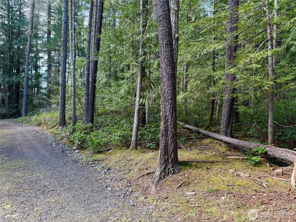 1111 Tarte Road Friday Harbor, WA 98250