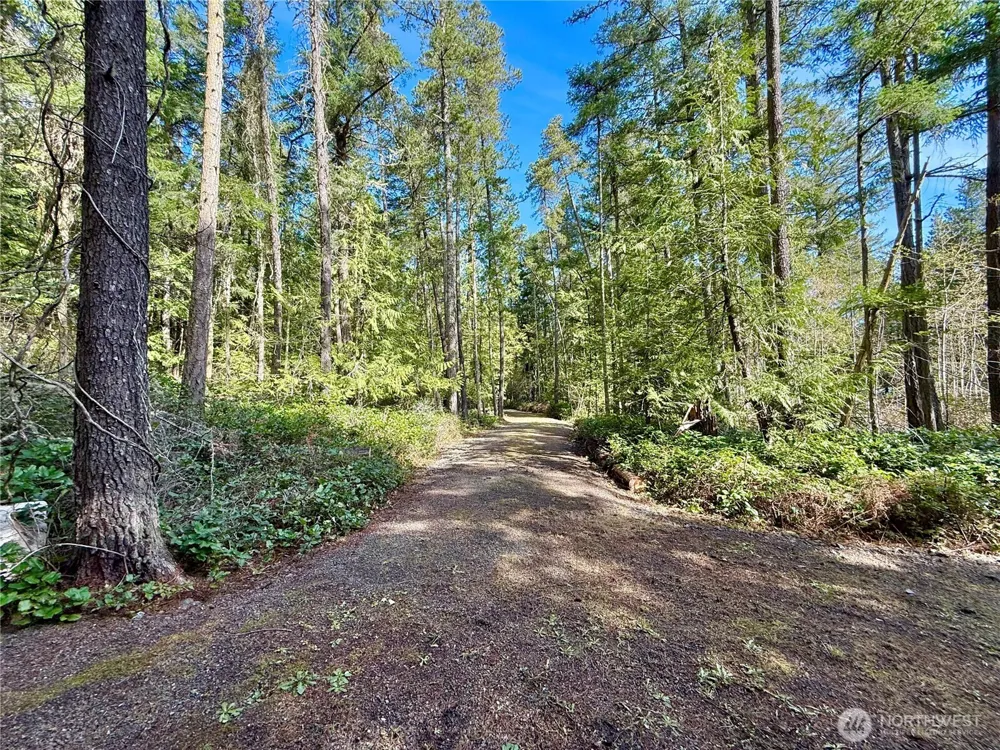 1111 Tarte Road Friday Harbor, WA 98250