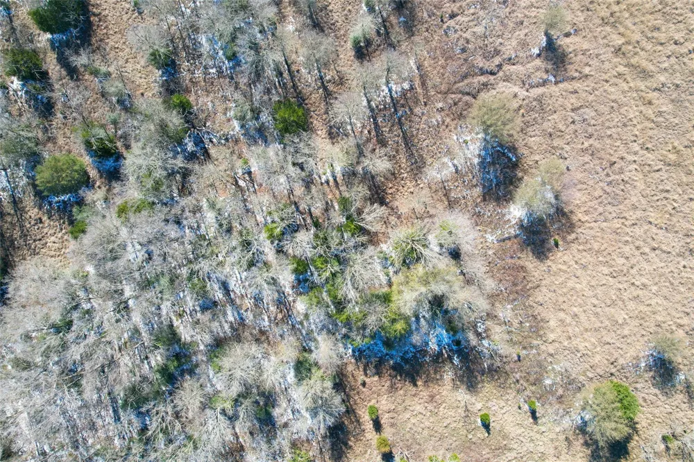 2 Prairie Groove Road Bremond, TX 76629