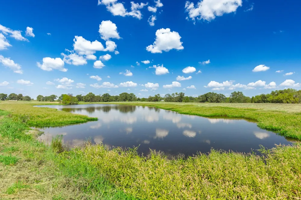 31 Texas Highway 19 S Brashear, TX 75420