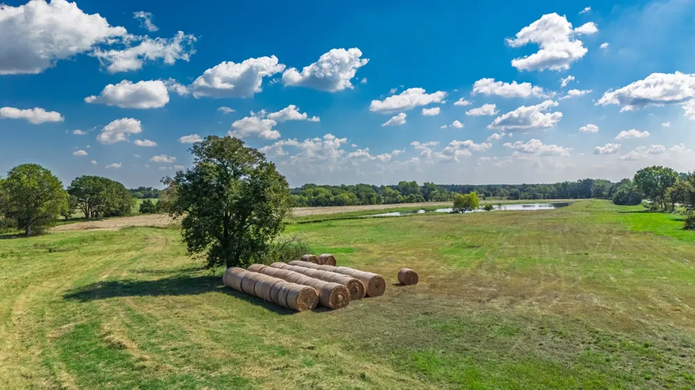 31 Texas Highway 19 S Brashear, TX 75420