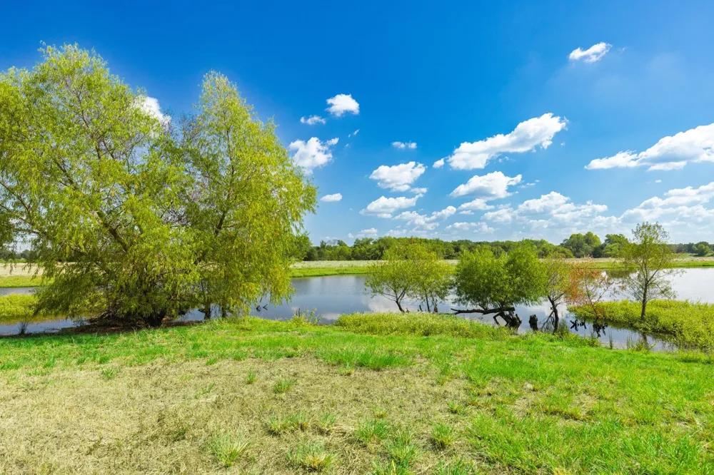 31 Texas Highway 19 S Brashear, TX 75420