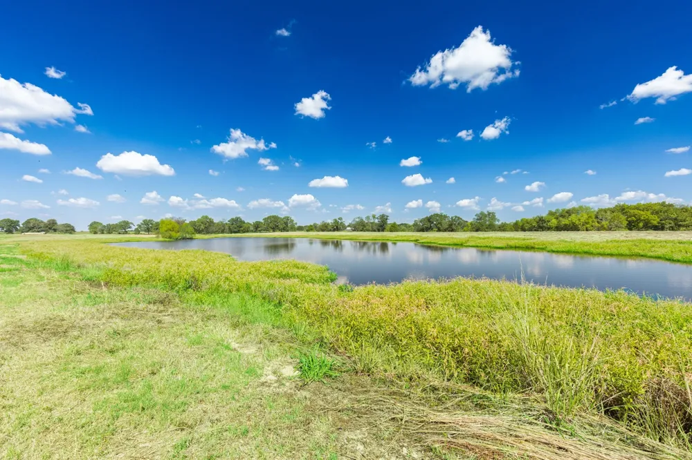31 Texas Highway 19 S Brashear, TX 75420