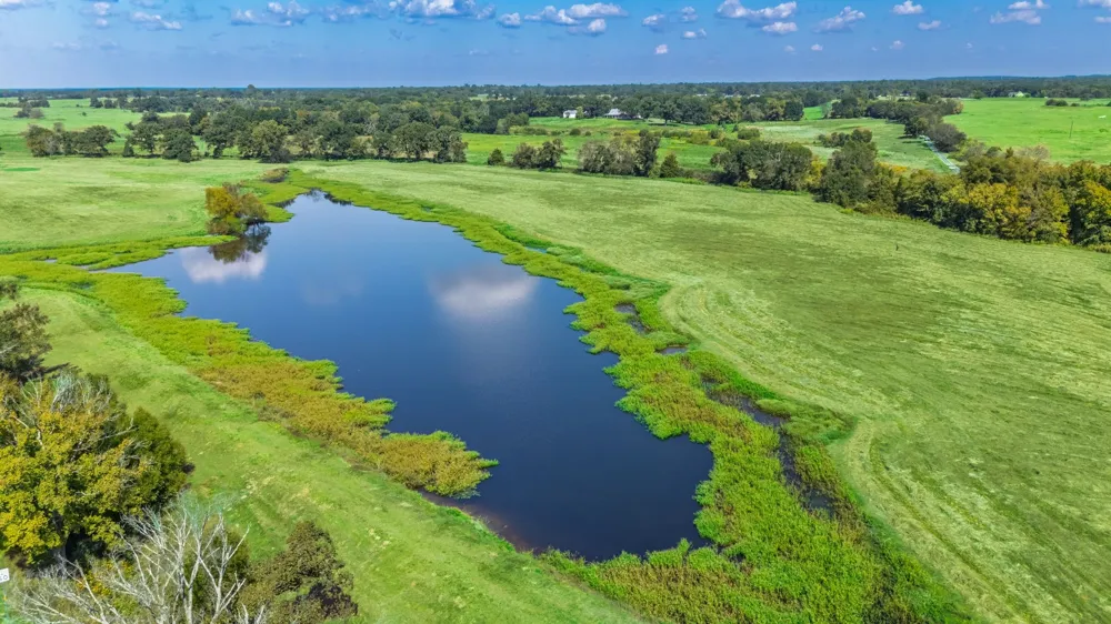 31 Texas Highway 19 S Brashear, TX 75420