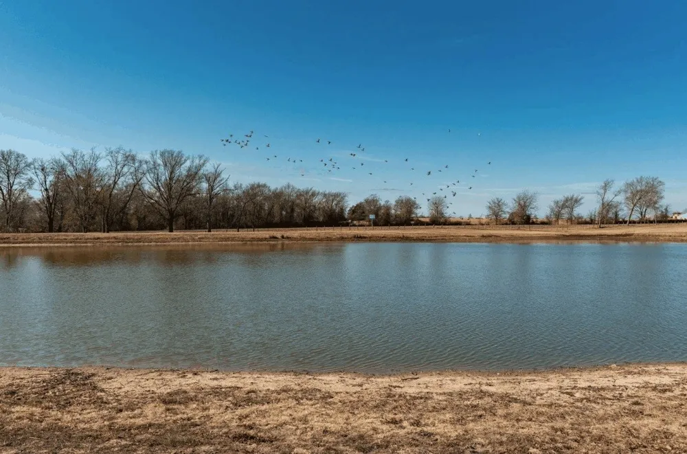 31 Texas Highway 19 S Brashear, TX 75420