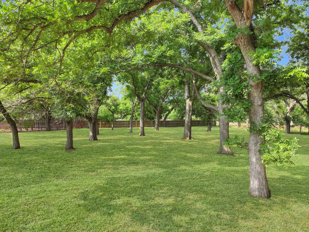 127 Milagros Seguin, TX 78155