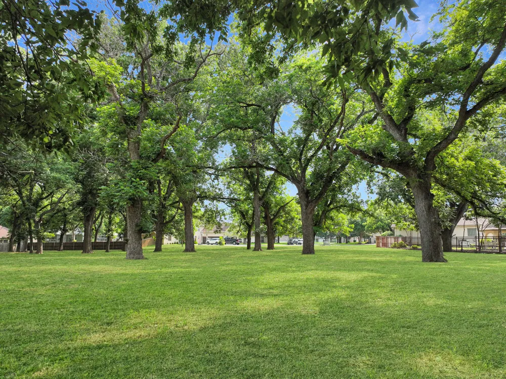 127 Milagros Seguin, TX 78155