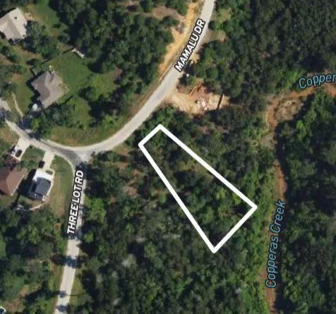 868 Mamalu Drive