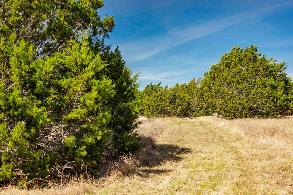 Saddle Ridge Drive Bertram, TX 78605