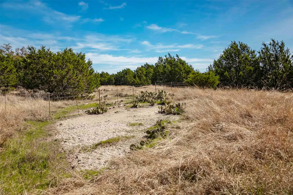 Saddle Ridge Drive Bertram, TX 78605