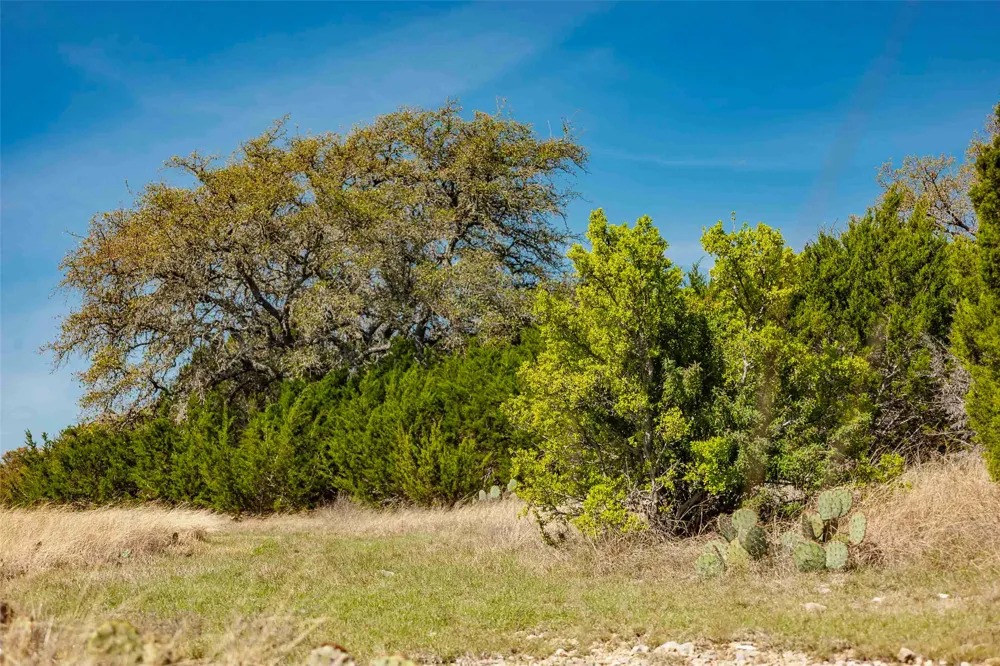 Saddle Ridge Drive Bertram, TX 78605