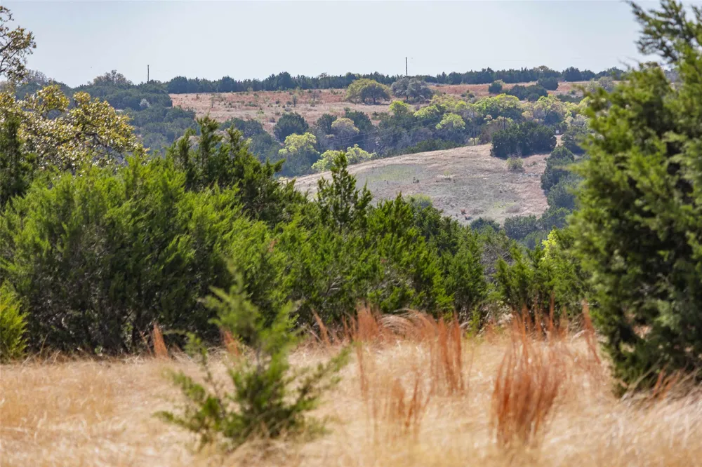 Saddle Ridge Drive Bertram, TX 78605