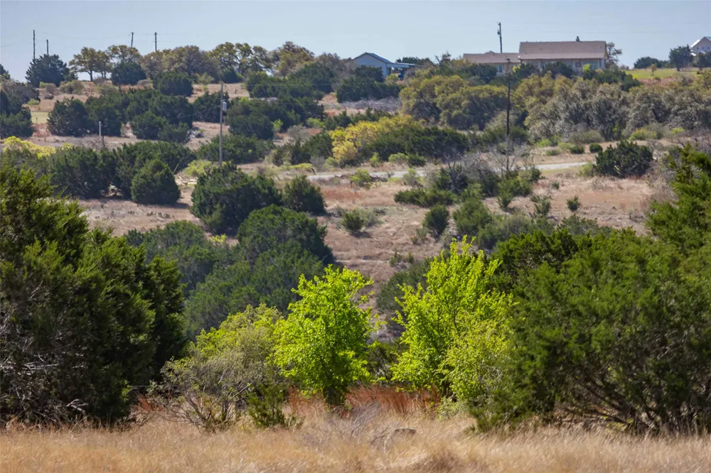 Saddle Ridge Drive Bertram, TX 78605
