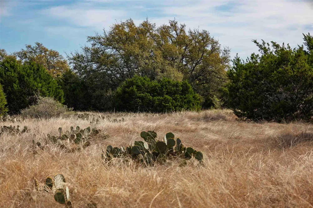 Saddle Ridge Drive Bertram, TX 78605