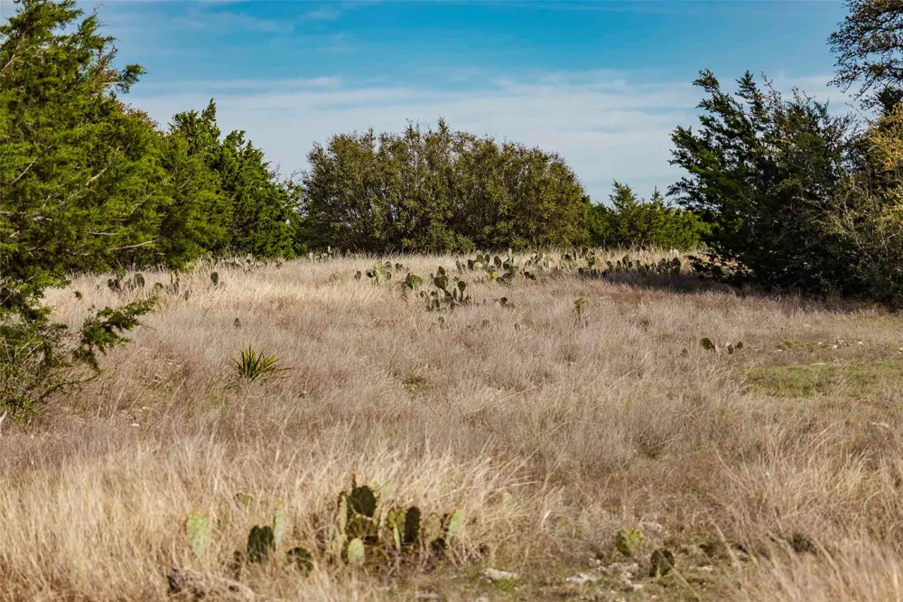 Saddle Ridge Drive Bertram, TX 78605