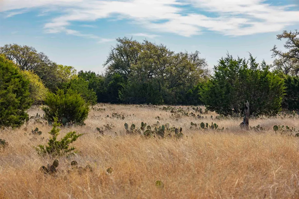 Saddle Ridge Drive Bertram, TX 78605