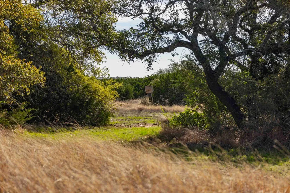 Saddle Ridge Drive Bertram, TX 78605
